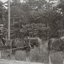 Theodor med russ och vagn tillsammans med Wilhelm Fleming.