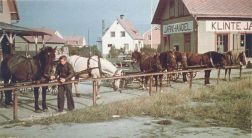 Hästskjutsar vid gamla mejeriet och järnhandeln Hästskjutsar vid gamla mejeriet och järnhandeln
